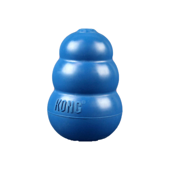 Blue kong sale dog toy