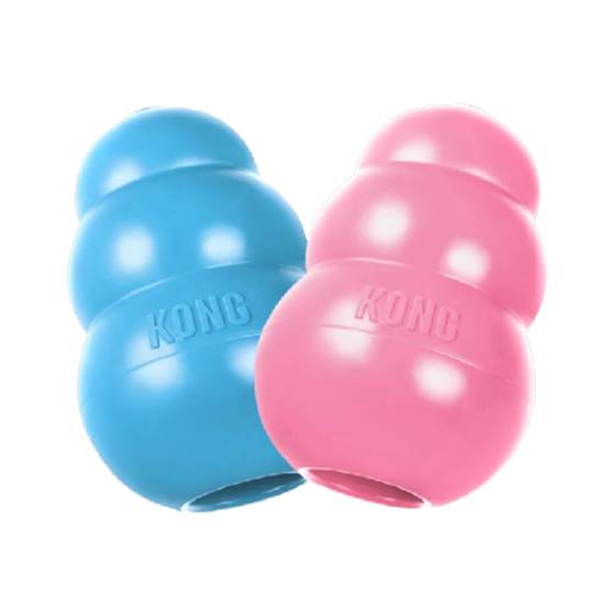 Kong sales puppy l