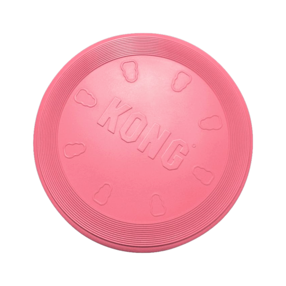 Kong frisbee clearance review